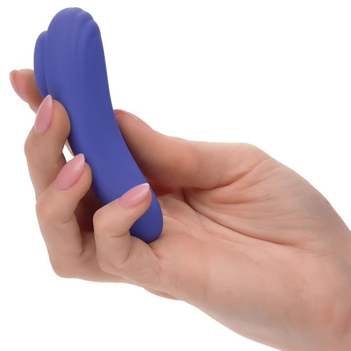 CalExotics Connect Panty Teaser